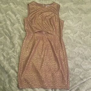 Mauve and gold Adrianna Papell cocktail dress